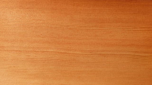 EUDR时间表已经清楚：木制品出口企业现在要补哪几张证明文件 配图 2