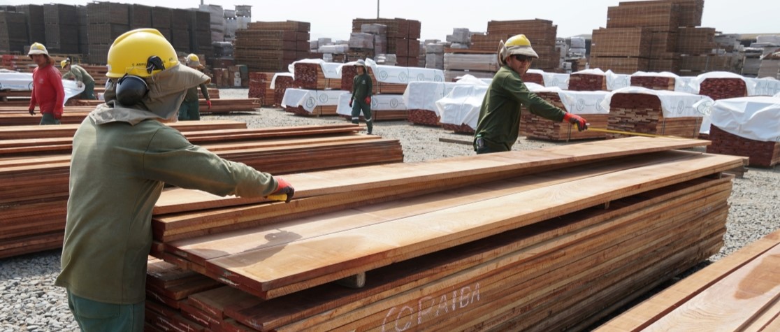 查FAO林产品报告别只看结论：生产、贸易、价值、估算和可比范围怎么放回原表 配图 2